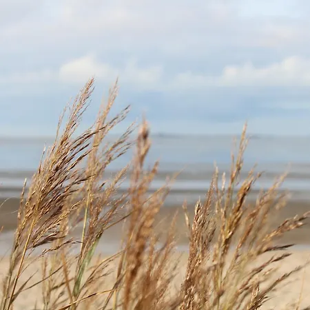 Appartamento Steffis-strand-schule *