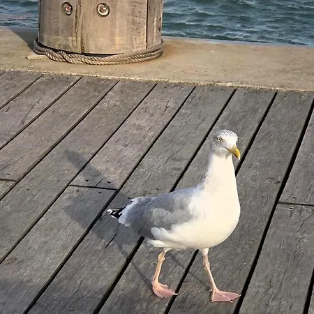 Apartmán Steffis-strand-schule Cuxhaven