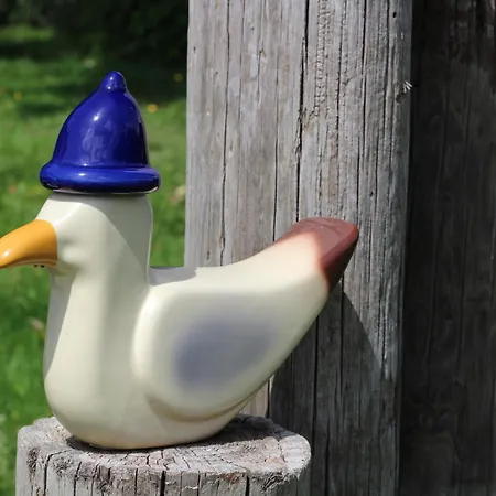 Steffis-strand-schule Cuxhaven