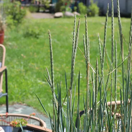 Apartmán Steffis-strand-schule Cuxhaven