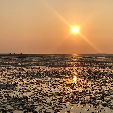 Steffis-strand-schule