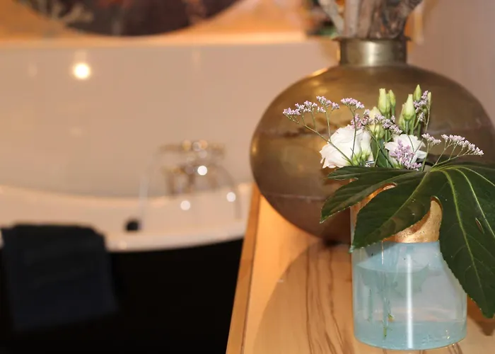 Steffis-strand-schule * 库克斯港