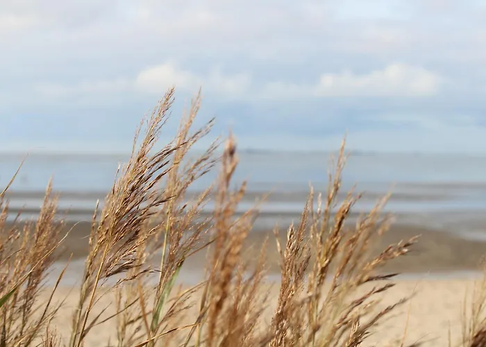 アパート Steffis-strand-schule *