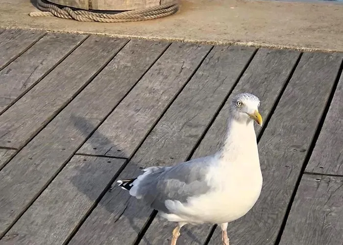 アパート Steffis-strand-schule クックスハーフェン