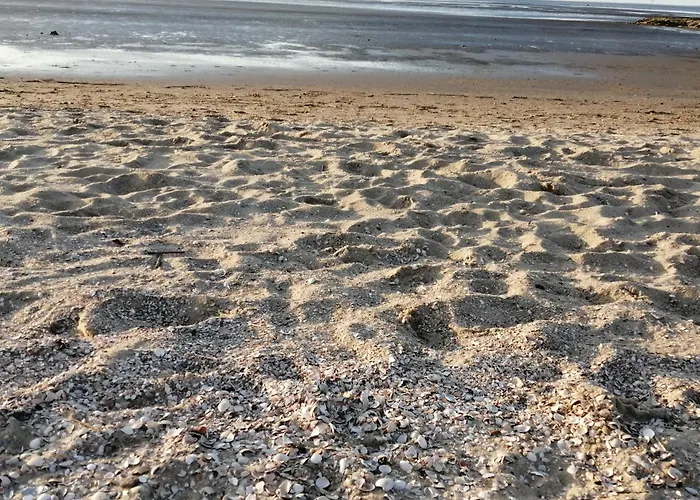 Steffis-strand-schule アパート クックスハーフェン