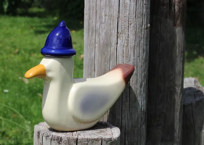 Steffis-strand-schule 库克斯港