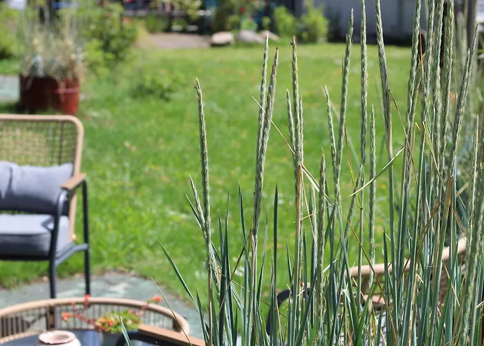 公寓 Steffis-strand-schule 库克斯港